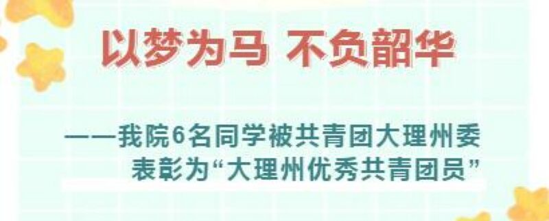 以梦为马 不负韶华----我院6名同学被共青团大理州委表彰为“大理州优秀共青团员”